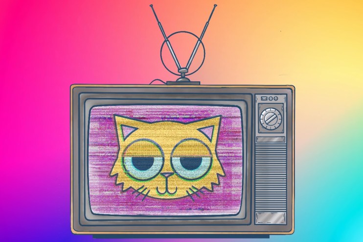 ‘The world of Cat TV is more cut throat than you would ever imagine’ – inside the strange business of TV… for cats