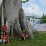 World Lost More Than 7 Million Hectares of Forest in 2025