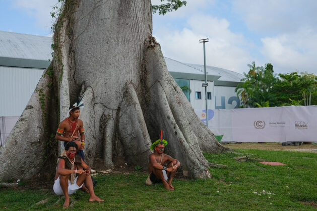 World Lost More Than 7 Million Hectares of Forest in 2025